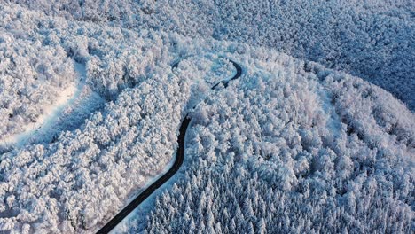 Impresionantes-Imágenes-De-Drones-De-Un-Paso-De-Montaña-En-Un-Bosque-Cubierto-De-Nieve