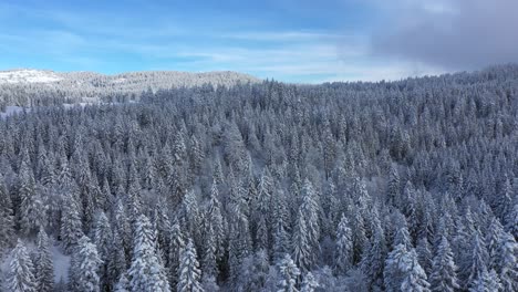 Impresionantes-Imágenes-De-Drones-Sobre-Un-Bosque-Cubierto-De-Nieve