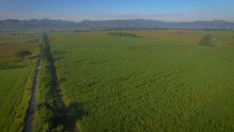 Vista-De-Drones-De-Un-Hermoso-Campo-Verde-Durante-El-Amanecer-Y-Un-Camino-Rural