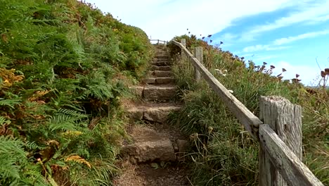 Climbing-up-scenic-stairs-along-a-coastal-path