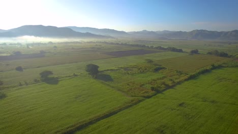 Drohnenblick-Auf-Ein-Wunderschönes-Grünes-Feld-Während-Des-Sonnenaufgangs-Mit-Nebel