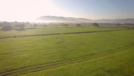 Drohnenblick-Auf-Ein-Wunderschönes-Grünes-Weidefeld-Während-Des-Sonnenaufgangs