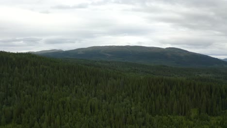Wald-Mit-Bergen-Im-Hintergrund