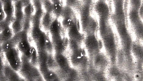 Waves-patterns-display-variations-in-structure-and-amplitude-with-levitating-droplets-forming
