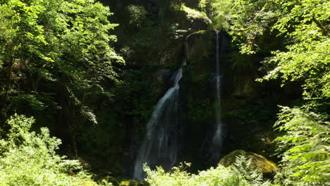 Beautiful-Elk-Creek-Falls-in-the-forest-of-Powers,-Oregon--aerial