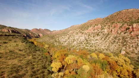 Aerial-flying-into-the-fall-foliage-of-the-riparian-area-at-the-base-of-Sycamore-Canyon-area,-Northern-Arizona