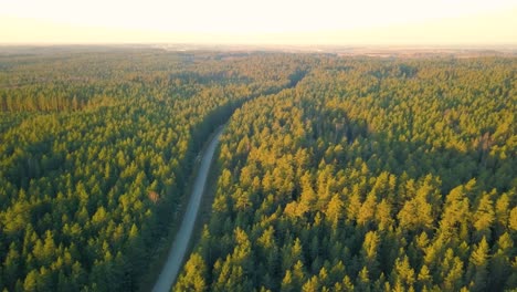 Birds-eye-view-of-road-in-lap-of-nature-surrounded-by-dense-green-forest