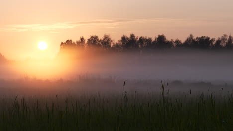 Static-view-of-colorful-sunrise-by-foggy-field-and-forest,-Scandinavia