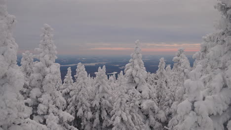 Vista-Panorámica-De-Los-árboles-Cubiertos-De-Nieve-Fresca-Contra-El-Cielo-Colorido-En-Orford,-Quebec,-Canadá