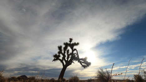 Die-Sonne-Geht-über-Der-Mojave-Wüste-Und-Dem-Joshua-Tree-Auf-Und-Bewegt-Sich-Dann-In-Dieser-Rasanten-Wolkenlandschaft-Eines-Ganztägigen-Zeitraffers-über-Den-Himmel