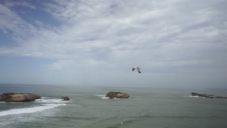 Seagull-Taking-Off-Over-Tranquil-Ocean-Against-Cloudy-Sky-Near-Port-City-Of-Essaouira,-Morocco