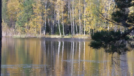 Finland-in-autumn-colors,-Boat-dragged-up-on-land-by-lake-in-rural-Finnish-countryside
