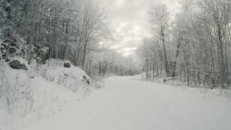 Fahren-Sie-Auf-Einer-Gefrorenen-Landstraße-Mit-Dichten-Nackten-Holzzweigen-Durch-Den-Winter-In-Orford,-Quebec,-Kanada