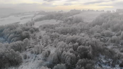 Frozen-landscape,-trees-in-frost,-high-angle-aerial-view,-snowy-winter-scenery