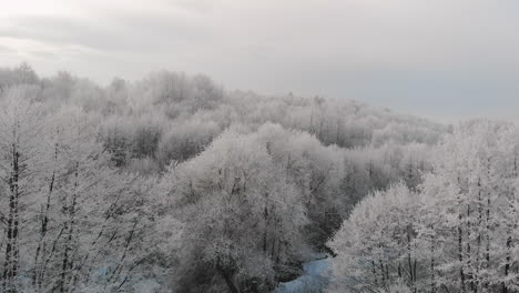 Winter-aerial-view-of-frozen-forest,-magical-scenery,-beautiful-frost-on-trees