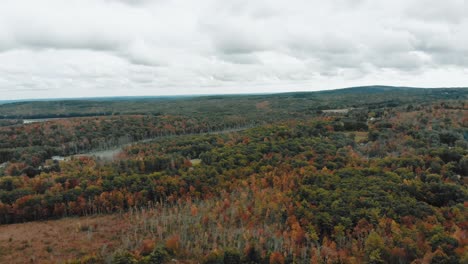 Descending-drone-shot-of-a-forest-in-Massachusetts-with-a-cloudy-sky-overhead---4K