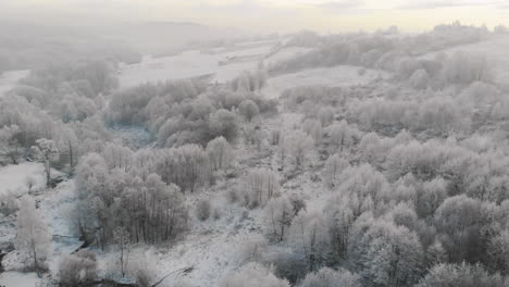 Misty-morning,-snowy-hill,-frost-covered-trees,-breathtaking-aerial-panorama