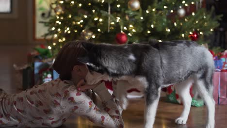 Adorable-Cachorro-Husky-Juega-Con-Una-Chica-Rubia-Bajo-El-árbol-De-Navidad