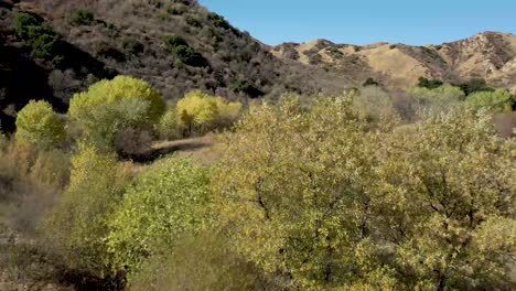 Pico-Canyon,-Kalifornien-Und-Seine-Herbstfarben
