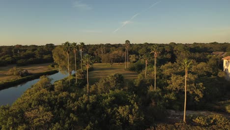 Sunset-palm-trees-in-Seminole,-Florida