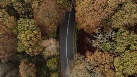 Autumn-road-from-above-in-uk