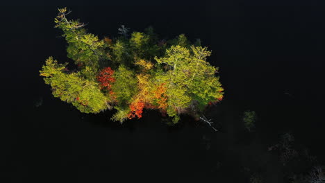 Lake-Island-With-Grove-in-Autumn-Foliage-Colors,-Aerial-View
