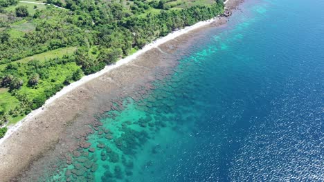 Aerial-View-Over-Beach-Shore-With-Forest-And-Clear-Water