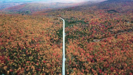 Road-in-Colorful-Autumn-Landscape