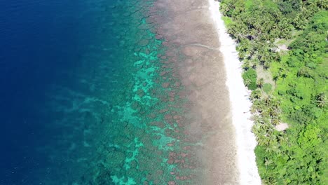 Luftaufnahme-Eines-Strandes-Mit-Türkisfarbenem-Meer-In-Negros-Oriental,-Philippinen,-Urlaubsparadies