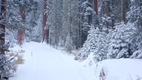 4k-Luftaufnahmen-Des-Sequoia-Nationalparks,-Der-Mit-Schnee-Bedeckt-Ist-6