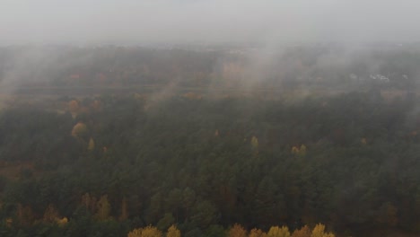 Aerial-shot-above-the-green-forest-with-the-fog,-mysterious-and-dark-mood,-in-the-horizon-you-can-see-the-river