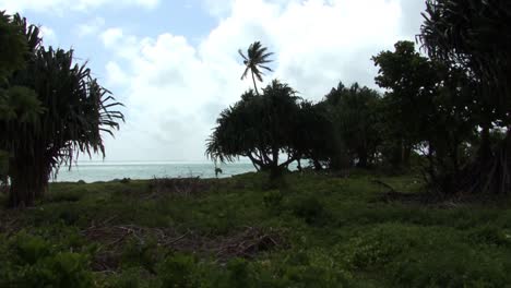 Fanning-Island-Landscape-and-vegetation