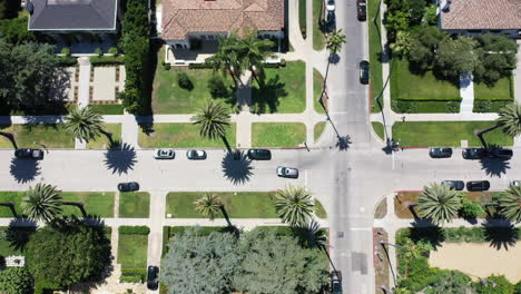 Drone-flies-over-palm-tree-and-mansion-lined-street-in-beautiful-West-Hollywood,-Los-Angeles,-California,-USA