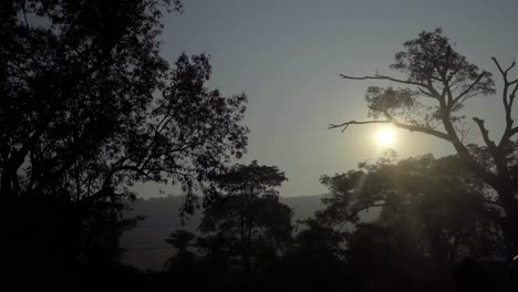 Pflege-Pov-Vom-Seitenfenster-Bewegende-Bäume-Sonnenuntergang-Sonnenaufgang-Mumbai-Indien-Thane-Maharashtra