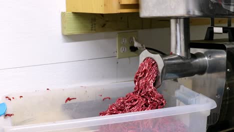 Red-meat-is-ground-in-electric-meat-grinder