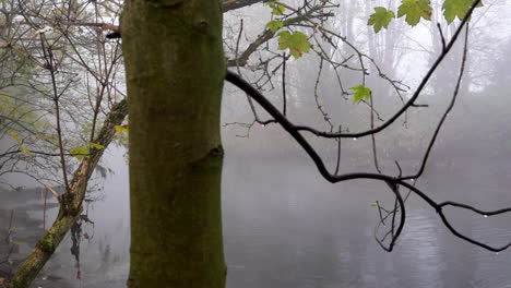 A-slow-motion-camera-truck-from-left-to-right-past-a-tree-reveals-an-atmospheric-scene-of-thick-fog-hanging-over-a-river-on-a-cold-winter’s-morning