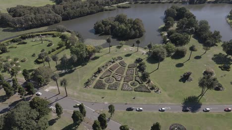 Jardín-De-Rosas-Y-Estanque-Busbys-En-El-Parque-Centenario---Drone-Sobre-Dickens-Y-Parkes-Drive,-Nsw,-Australia---Antena