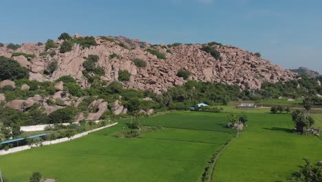 Lush-green-fields-in-front-of-a-rocky-mountain-in-a-rural-part-of-India