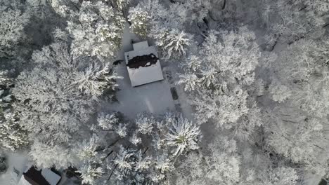 Zwei-Isolierte-Hütten-Im-Ländlichen-Wald-Mit-Schneebedeckten-Bäumen,-Von-Oben-Nach-Unten-Antenne