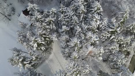 Reveal-House-in-Snow-Covered-Forest,-Top-Down-Birds-Eye-View,-Aerial