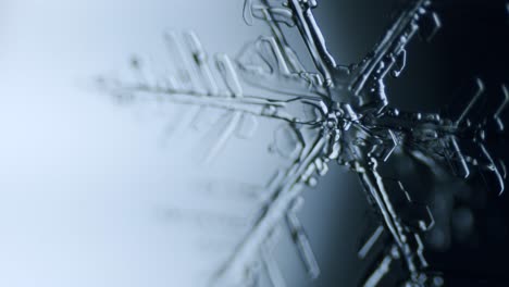 Snowflake-ice-crystal-stellar-dendrite-under-microscope