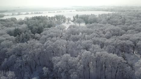 Aerial-of-Snow-Covered-Forest-and-White-Field-in-Horizon,-Circling
