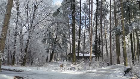 Magische-Winterwunderlandstraße,-Die-Zu-Einer-Im-Wald-Versteckten-Hütte-Führt,-Dolly