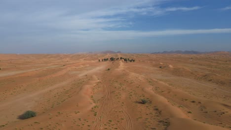 Vista-Superior:-Desierto-Con-Arena-Dorada-Y-árboles-En-Los-Emiratos-árabes-Unidos