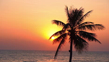 Romantische-Silhouettenansicht-Des-Roten-Himmels-Mit-Goldenem-Sonnenuntergang,-Gesehen-Durch-Palmenzweige-Mit-Ruhigem-Ozean-Im-Hintergrund