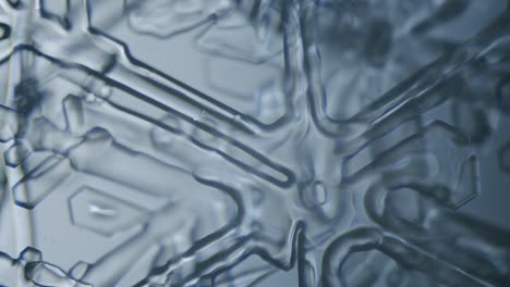 Dendrita-Estelar-De-Cristal-De-Hielo-De-Copo-De-Nieve-Bajo-El-Microscopio