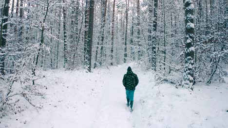 A-man-walks-through-a-trail-road-covered-with-snow-in-a-winter-forest