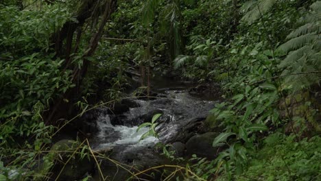 Drohne-Luft-Wasserfall-Flüsse-In-Waldgrün