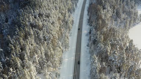 Schneebedeckter-Wald-An-Einem-Kalten-Wintertag---Luftaufnahme