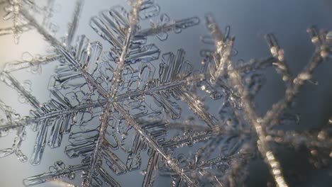 Snowflake-ice-crystals-stellar-dendrites-under-microscope-macro-large-magnification-close-up